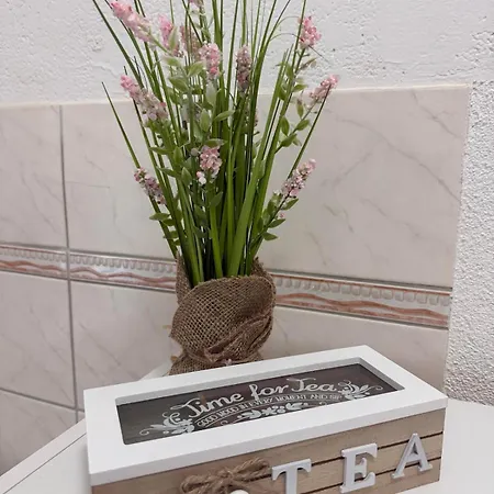 Apartment Garden Center
